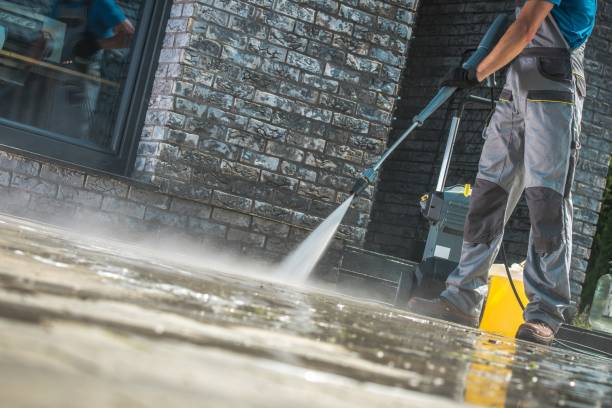 Best Sidewalk and Walkway Cleaning  in Burr Ridge, IL