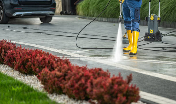 Spring Cleaning in Burr Ridge, IL